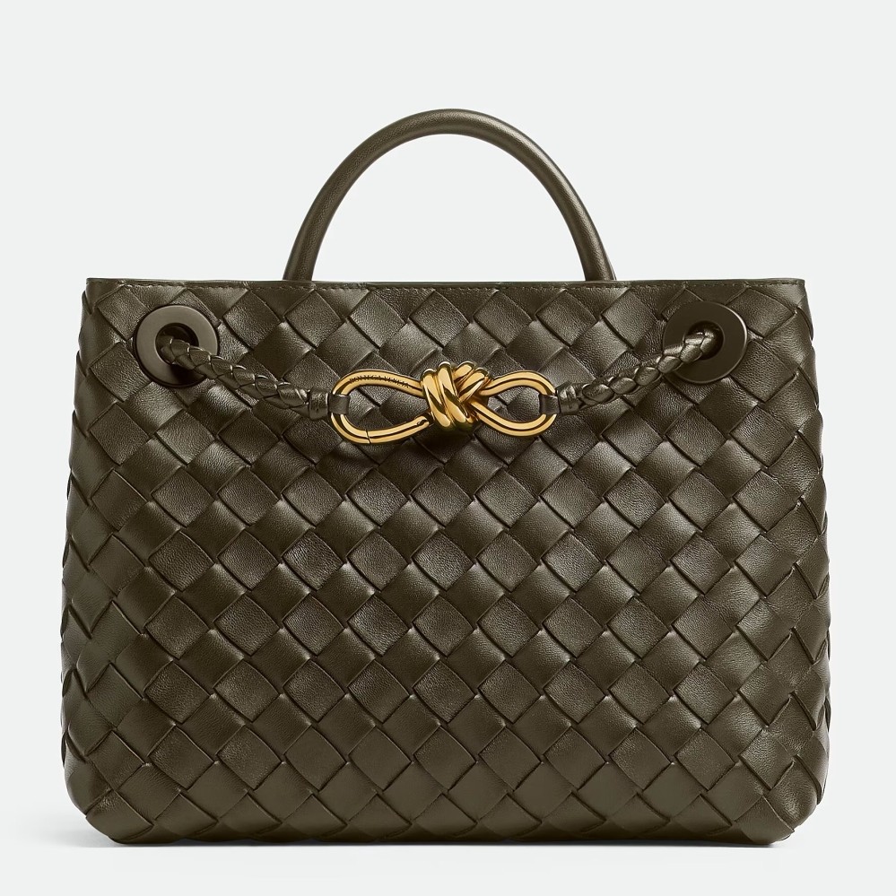 bo*te*ga Ve*ne*ta andiamo small bag in kaki intrecciato lambskin