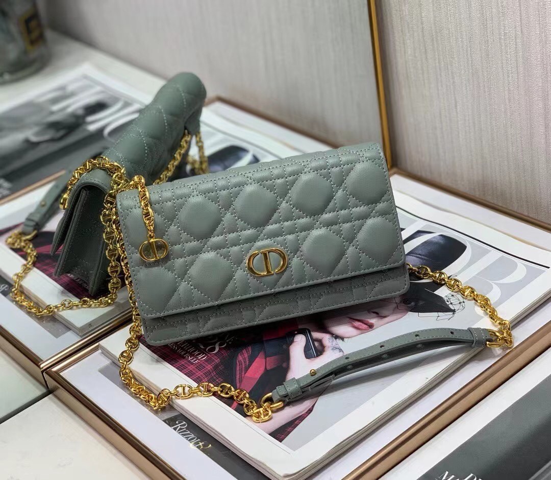 D*or caro belt pouch with chain in grey calfskin