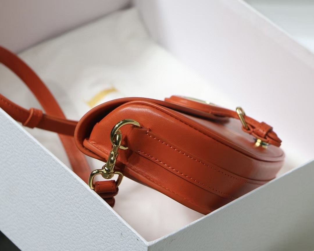 D*or bobby east-west bag in orange box calfskin