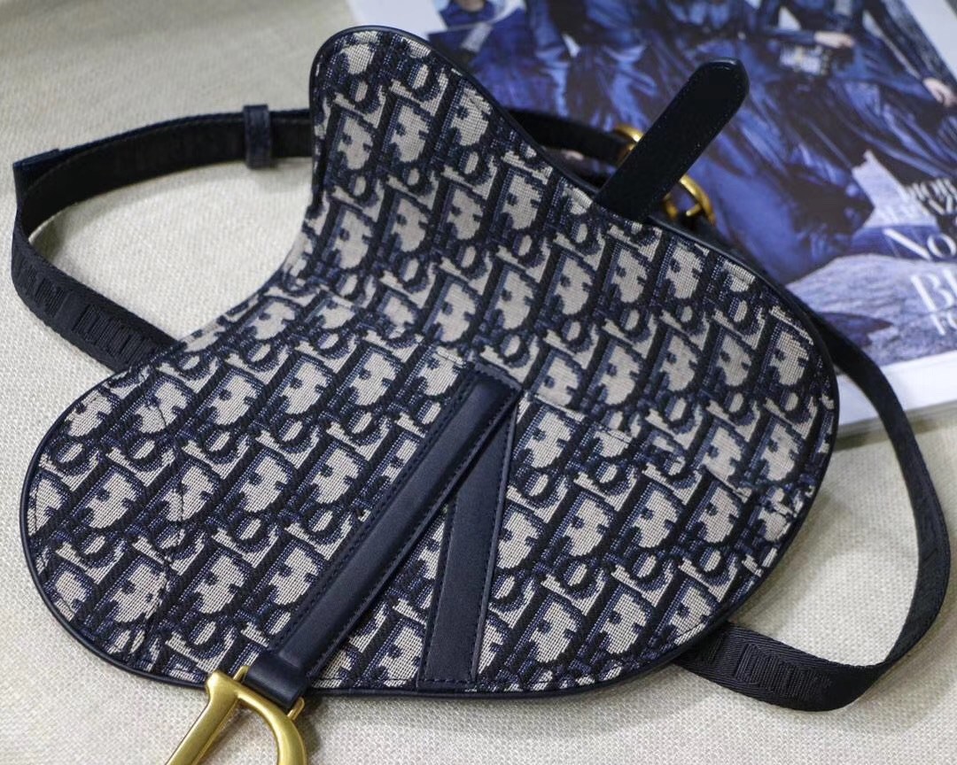 D*or saddle belt bag in blue oblique canvas