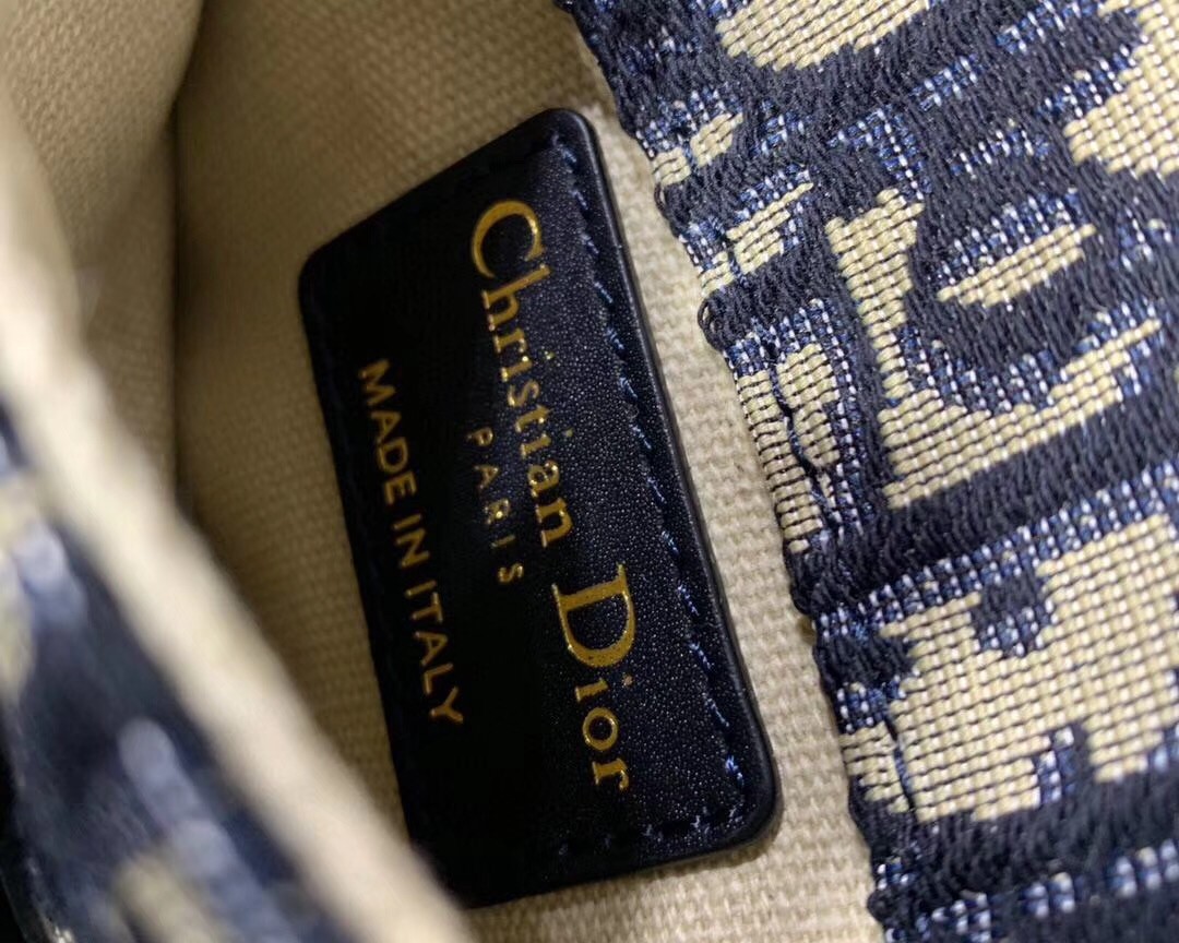 D*or saddle belt bag in blue oblique canvas