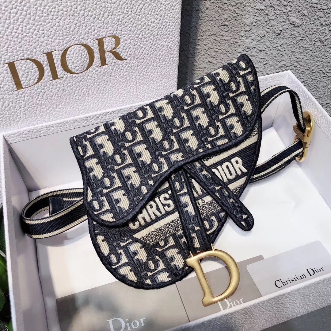 D*or saddle pouch belt bag in blue oblique canvas