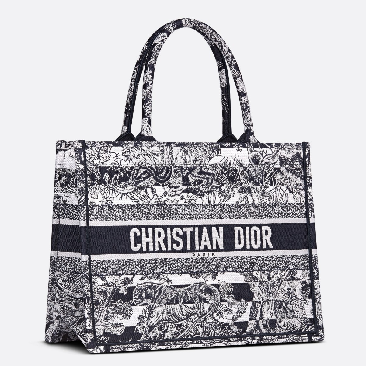D*or medium book tote bag in blue toile de jouy stripes embroidery
