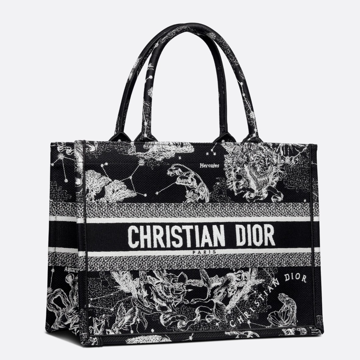 D*or medium book tote bag in black toile de jouy zodiac embroidery
