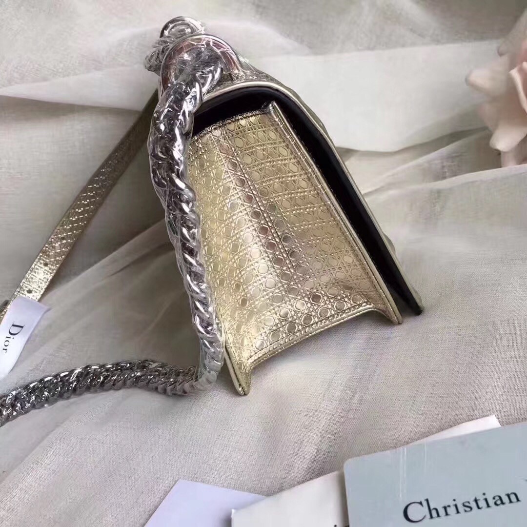 D*or D*orama bag in champagne metallic calfskin