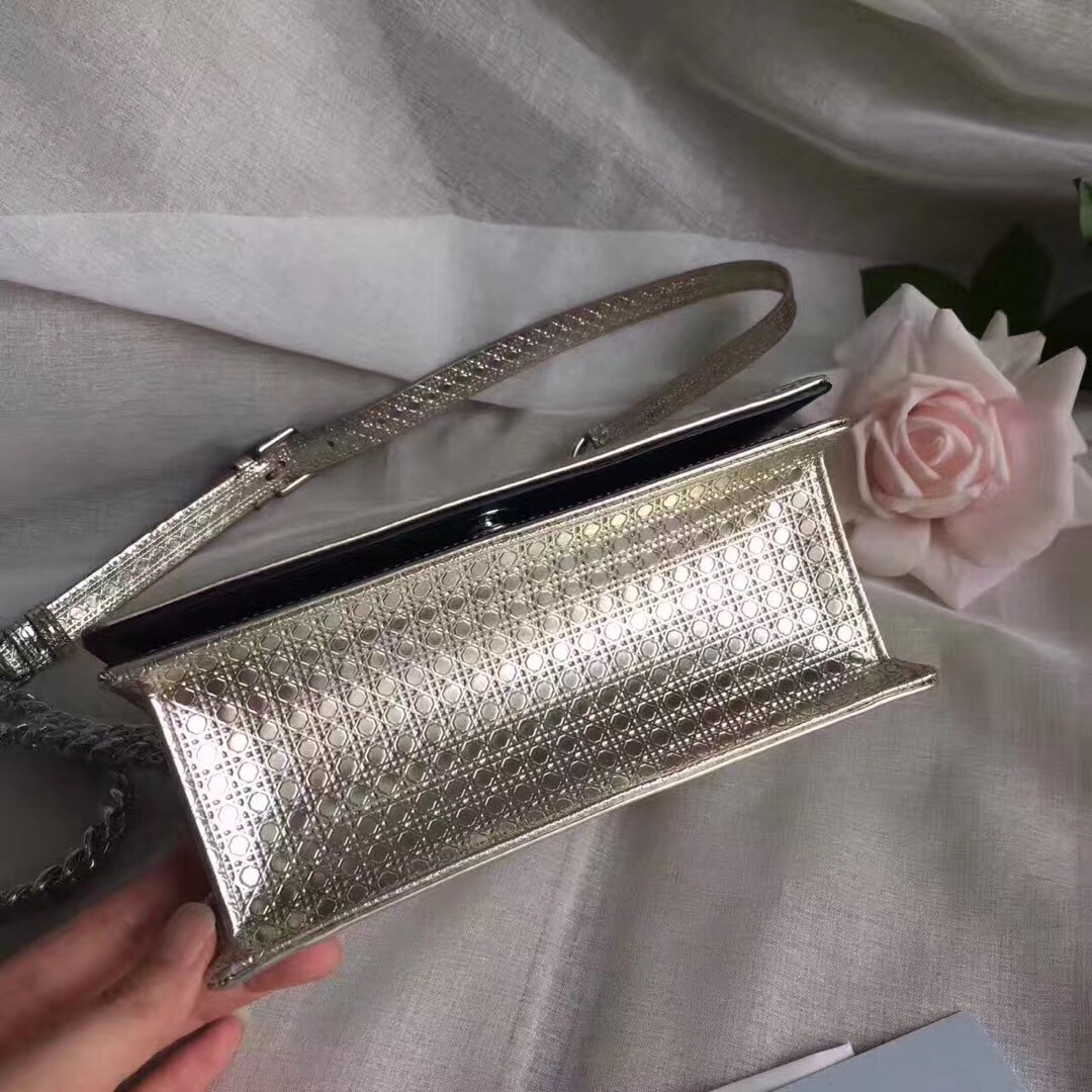 D*or D*orama bag in champagne metallic calfskin