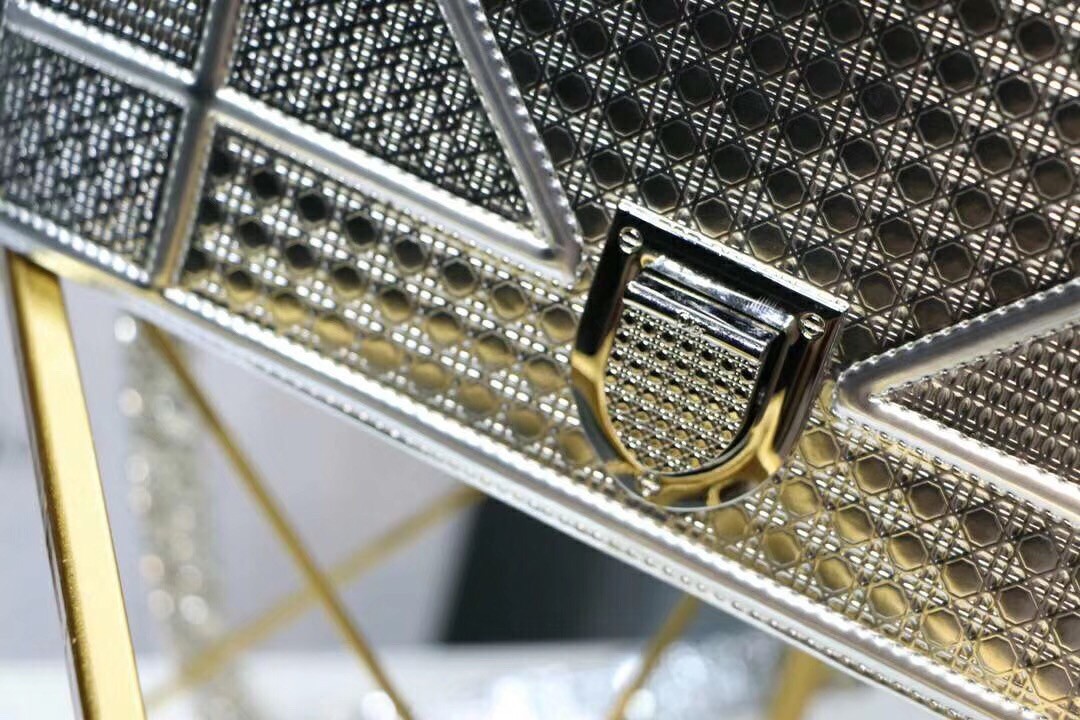 D*or D*orama bag in silver metallic calfskin