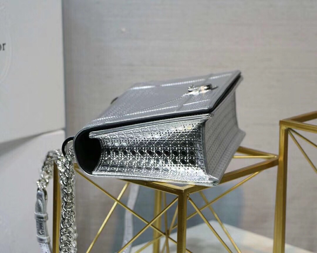 D*or D*orama bag in silver metallic calfskin