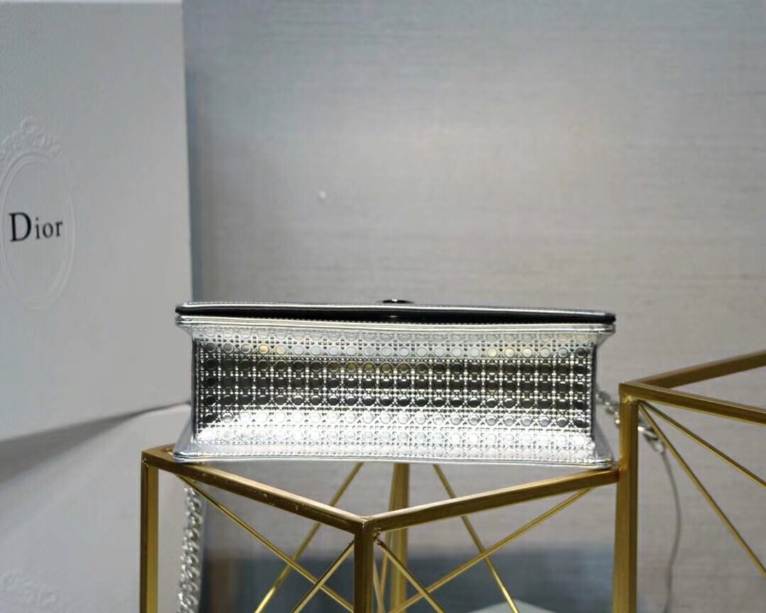 D*or D*orama bag in silver metallic calfskin