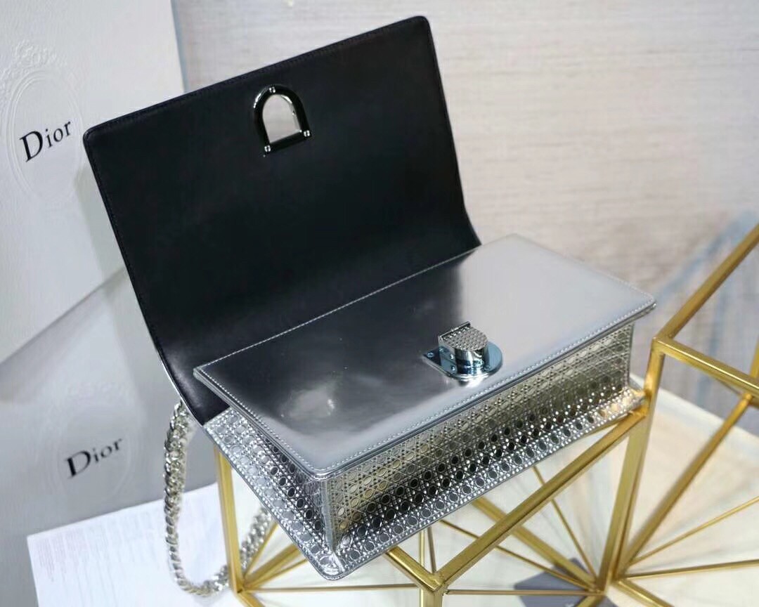 D*or D*orama bag in silver metallic calfskin