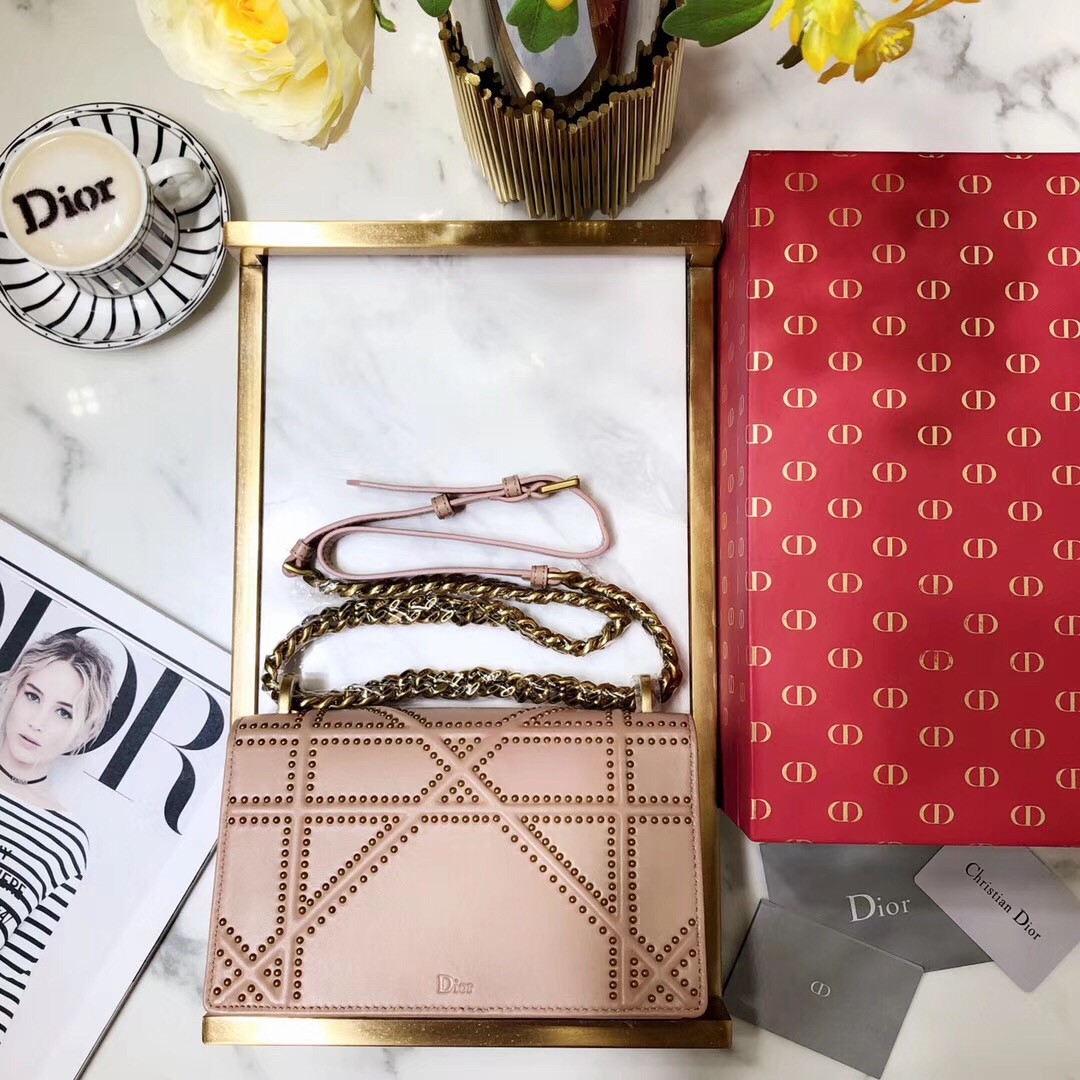 D*or D*orama bag in poudre studded lambskin
