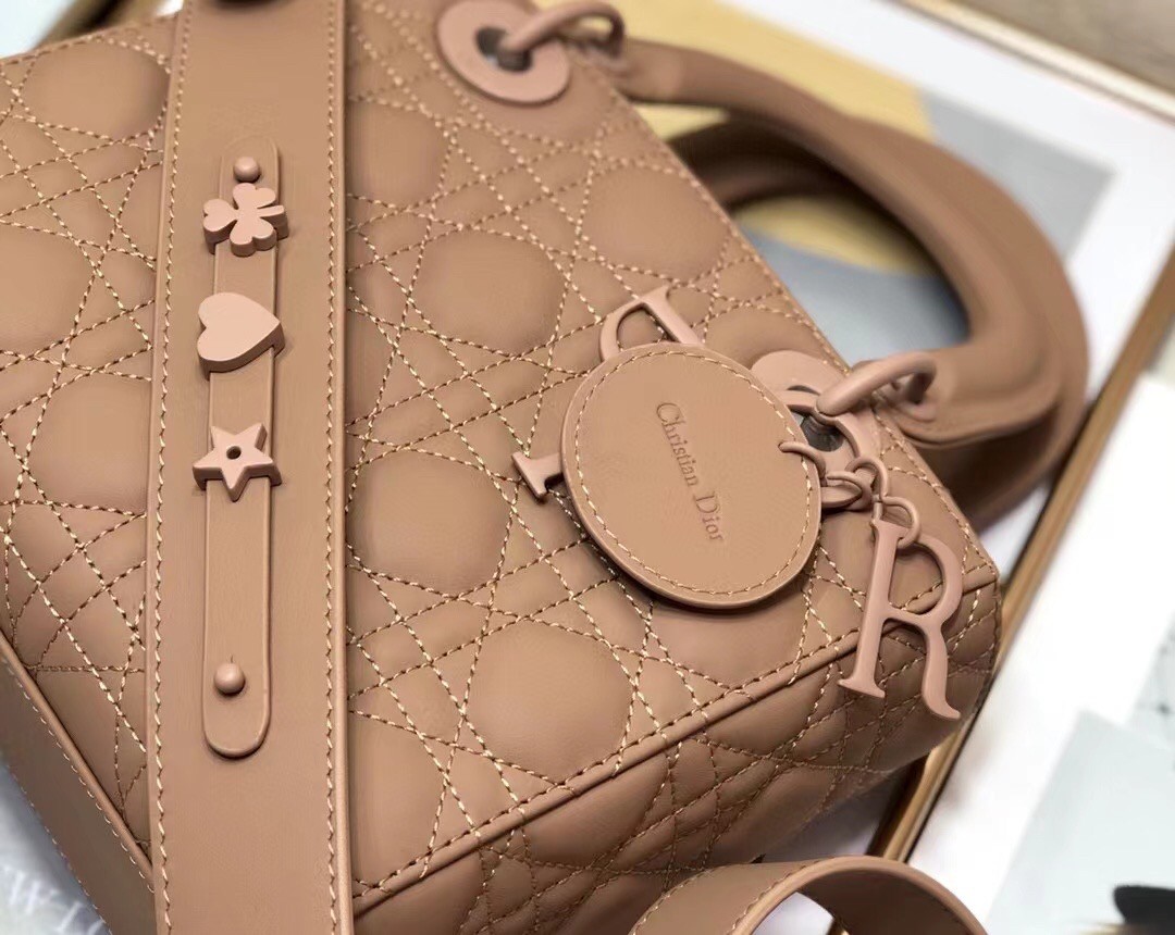 D*or lady D*or my abcD*or bag in blush ultra matte calfskin