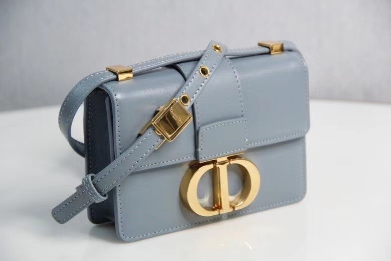 D*or micro 30 montaigne bag in grey calfskin