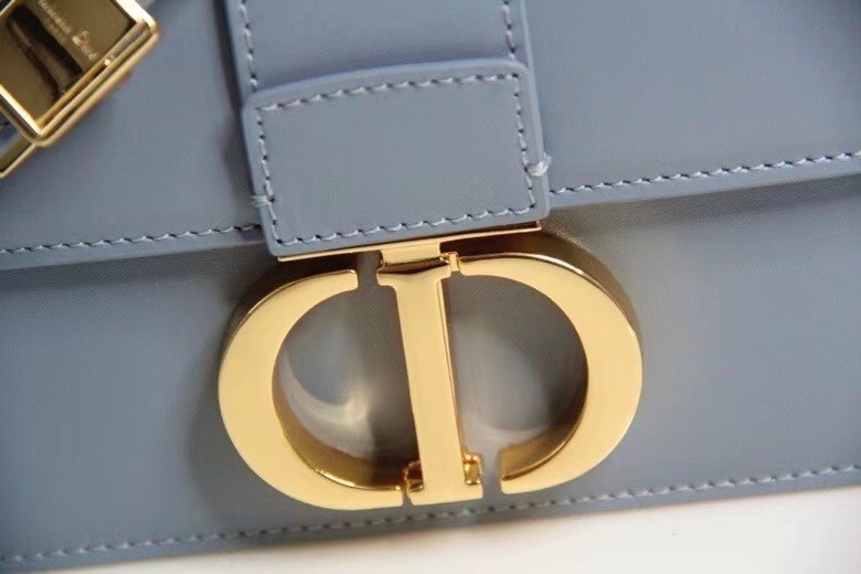 D*or micro 30 montaigne bag in grey calfskin