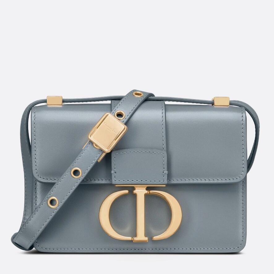 D*or micro 30 montaigne bag in grey calfskin