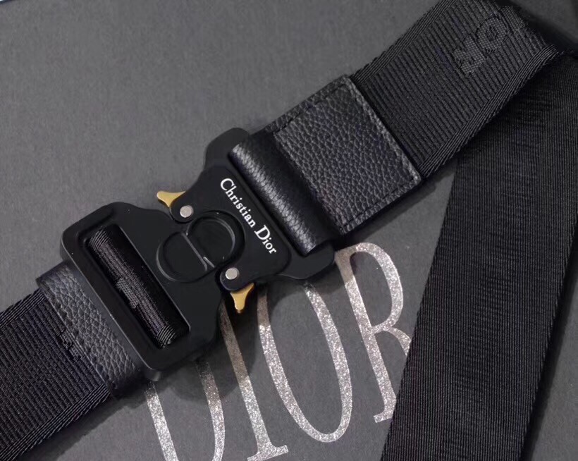 D*or men''s saddle belt bag in oblique canvas