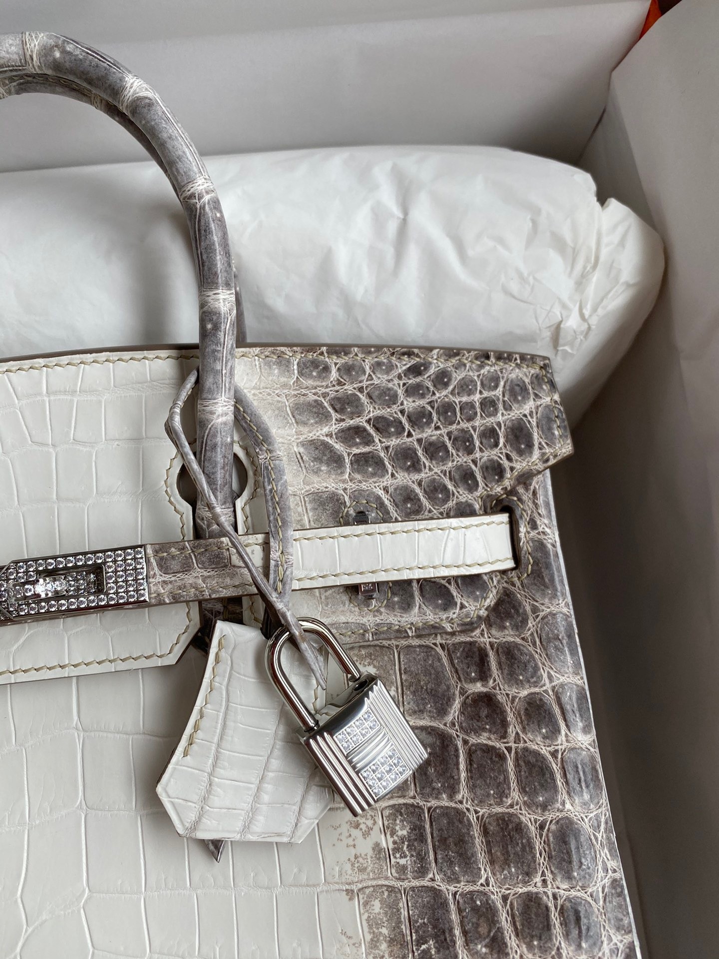 h**mes birkin 25 Di*m*nd bag in himalaya niloticus crocodile skin
