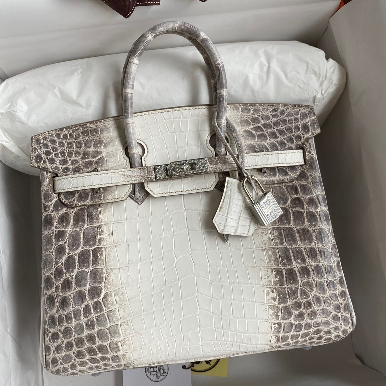 h**mes birkin 25 Di*m*nd bag in himalaya niloticus crocodile skin