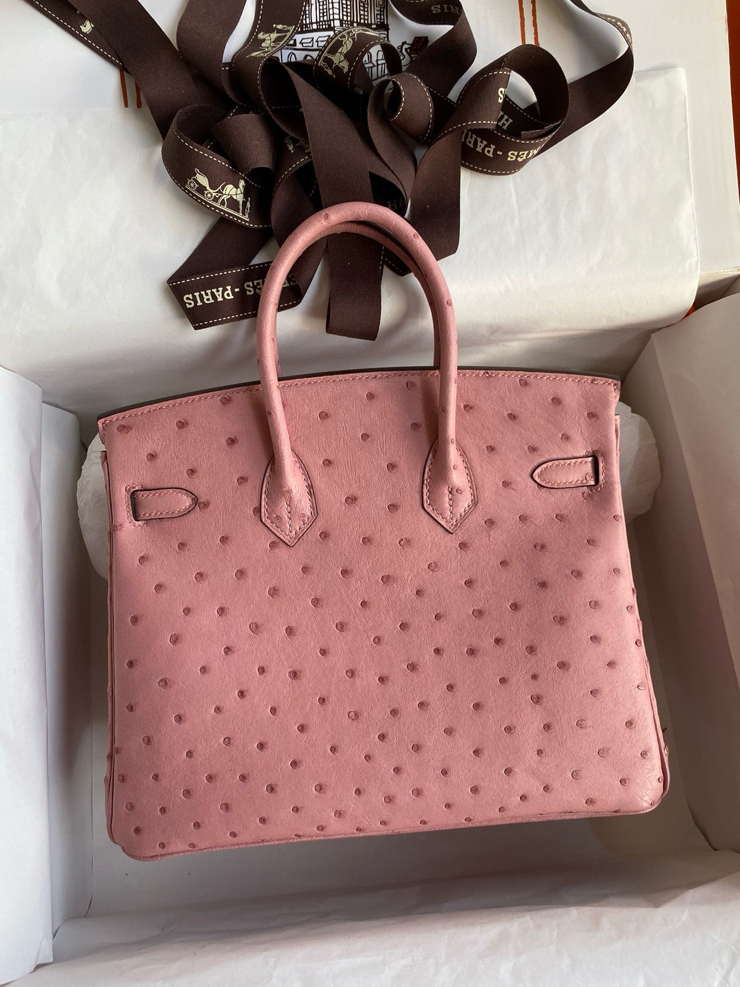 H**mes birkin 25 retourne handmade bag in terre cuite ostrich leather