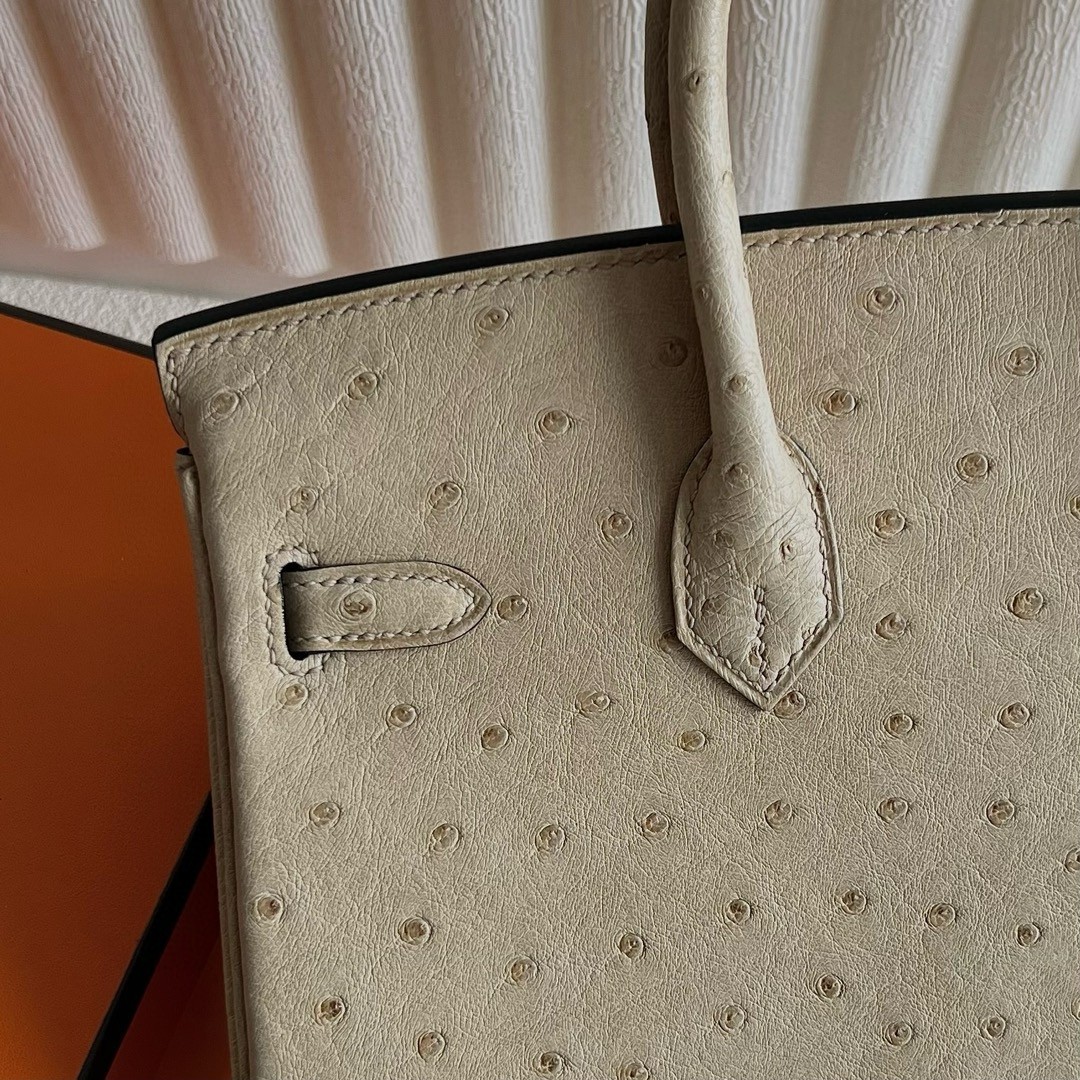 H**mes birkin 25 retourne handmade bag in trench ostrich leather