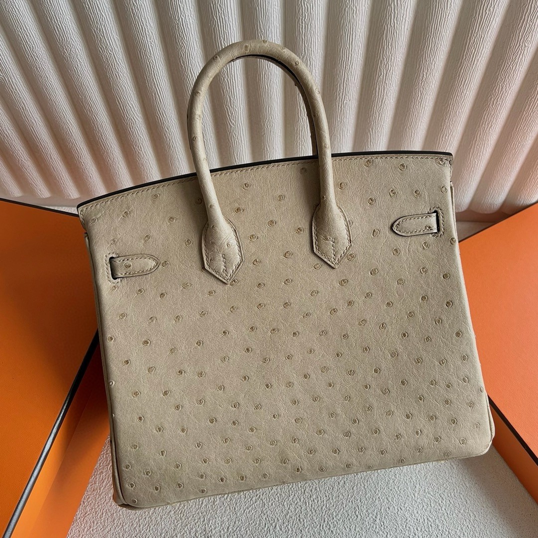 H**mes birkin 25 retourne handmade bag in trench ostrich leather