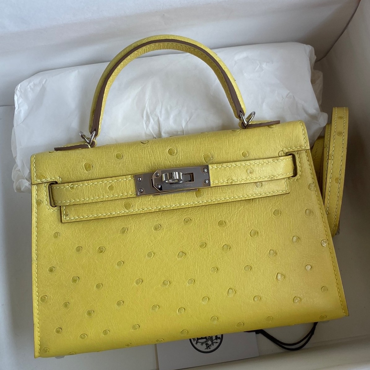 H**mes kelly mini ii sellier handmade bag in lime ostrich leather