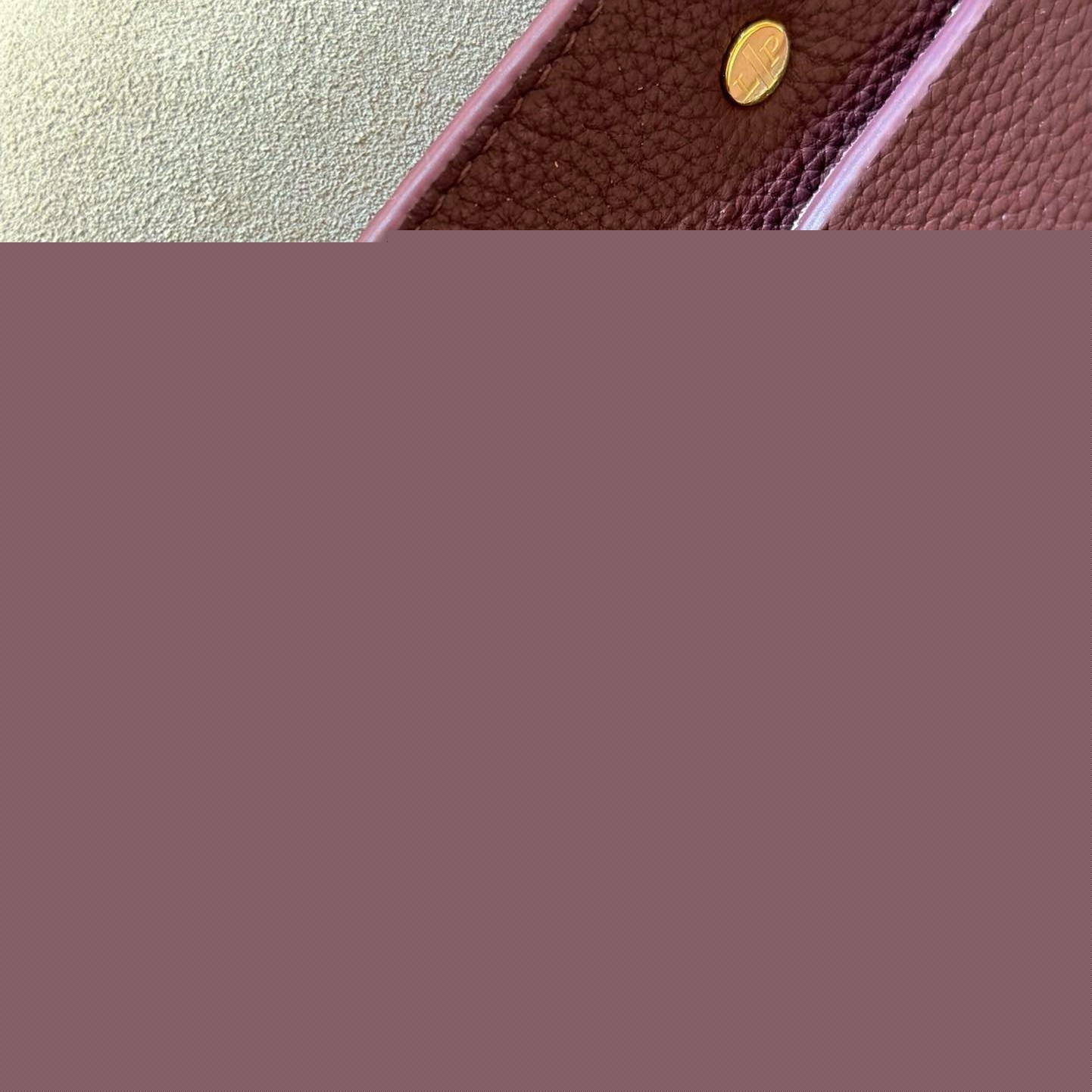 L0ew* scarf in camel wool and cashmere