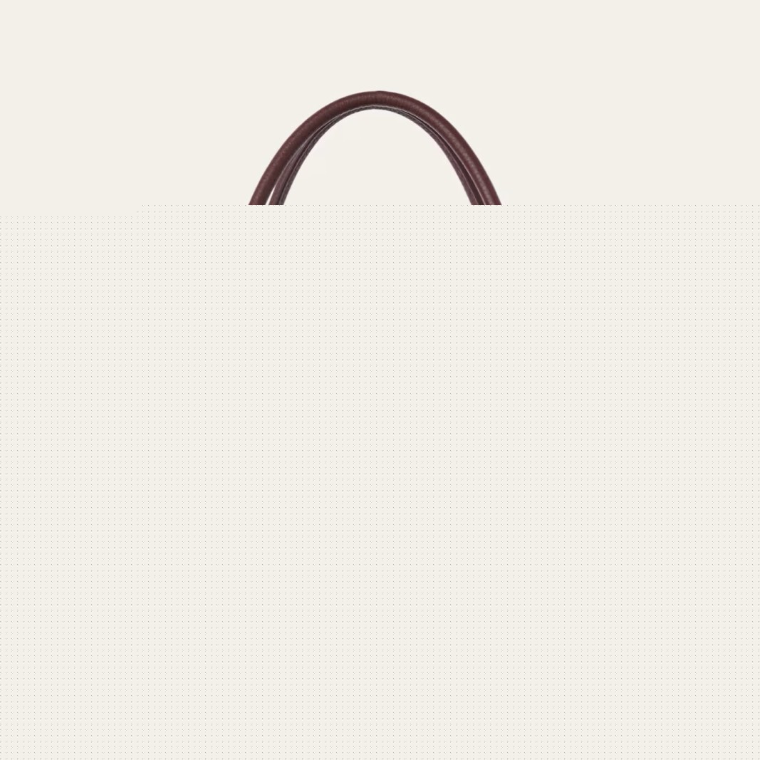 L0ew* scarf in camel wool and cashmere
